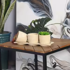 Stoneware Indoor Planter Set with Tray – Embossed Stripe Texture, Drainage Holes, Modern Decorative Pots (Set of 3)