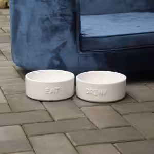 Set of 2 Stoneware Pet Bowls for Cats & Small Dogs – White Cute Text High-Gloss Easy-Clean Pet Dish