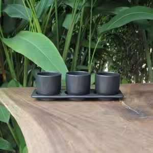 Indoor Stoneware Planters with Tray – Minimalist Tabletop Plant Pots (Set of 3)
