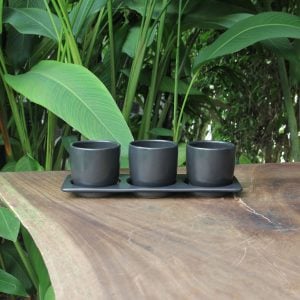 Indoor Stoneware Planters with Tray – Minimalist Tabletop Plant Pots (Set of 3)