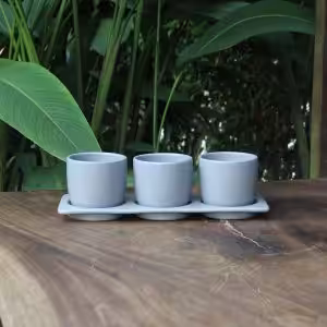 Light Gray Stoneware Indoor Planter Set with Tray – Minimalist Tabletop Plant Pots Indoor Planters Without Drainage Holes – Minimalist Decorative Plant Pots for Home Décor  (Set of 3)