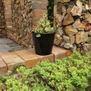 Indoor Planters Without Drainage Holes – Minimalist Decorative Black Plant Pots for Home Décor (Set of 2)