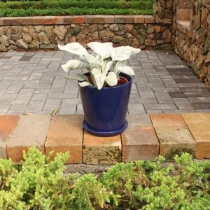 Blue Stoneware Indoor Planters with Drainage Hole and Matching Dishes (Set of 2)