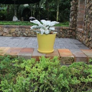 Yellow Stoneware Indoor Planters with Drainage Hole and Matching Dishes (Set of 2)