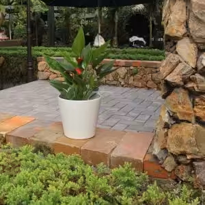 Indoor Planters Without Drainage Holes – Minimalist Decorative White Plant Pots for Home Décor (Set of 2)