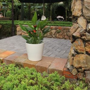 Indoor Planters Without Drainage Holes – Minimalist Decorative White Plant Pots for Home Décor (Set of 2)