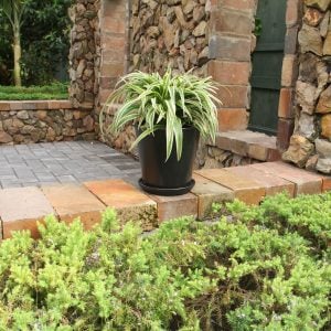 Black Stoneware Indoor Planters with Drainage Hole and Matching Dishes (Set of 2)