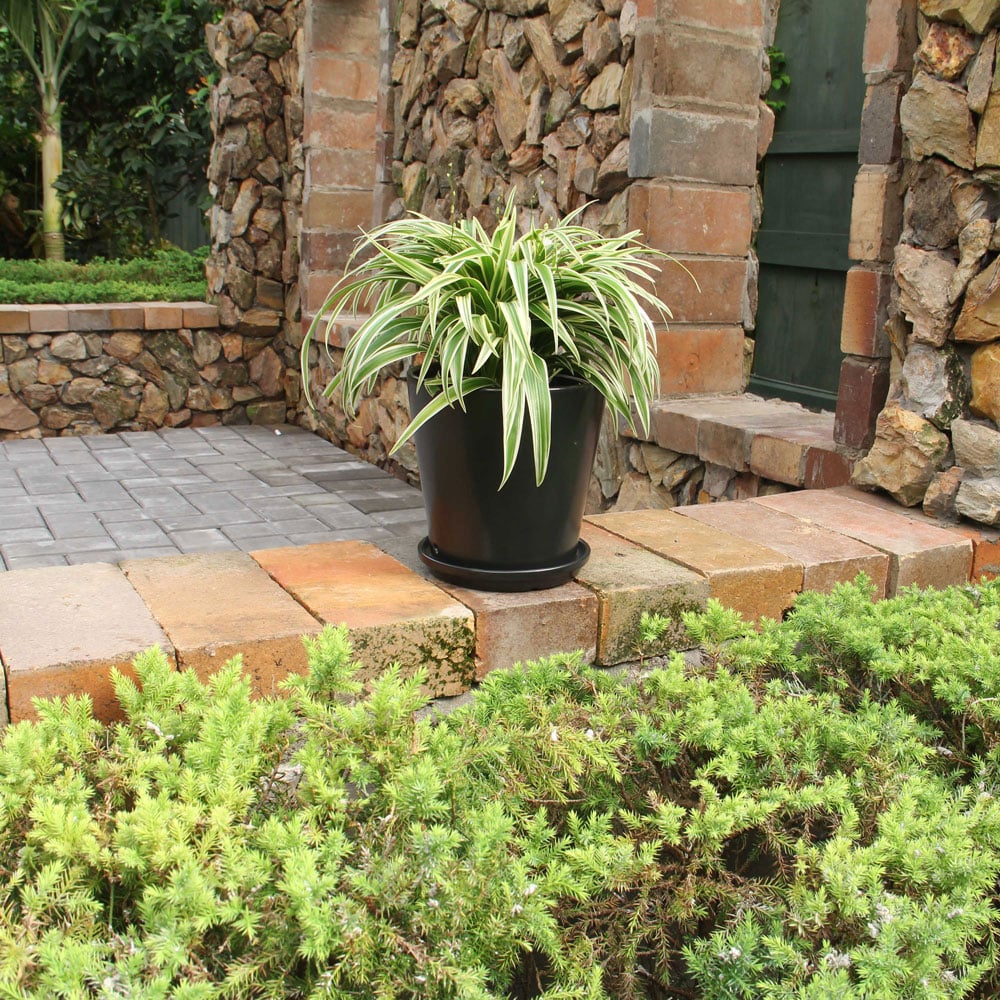 Black Stoneware Indoor Planters with Drainage Hole and Matching Dishes (Set of 2)