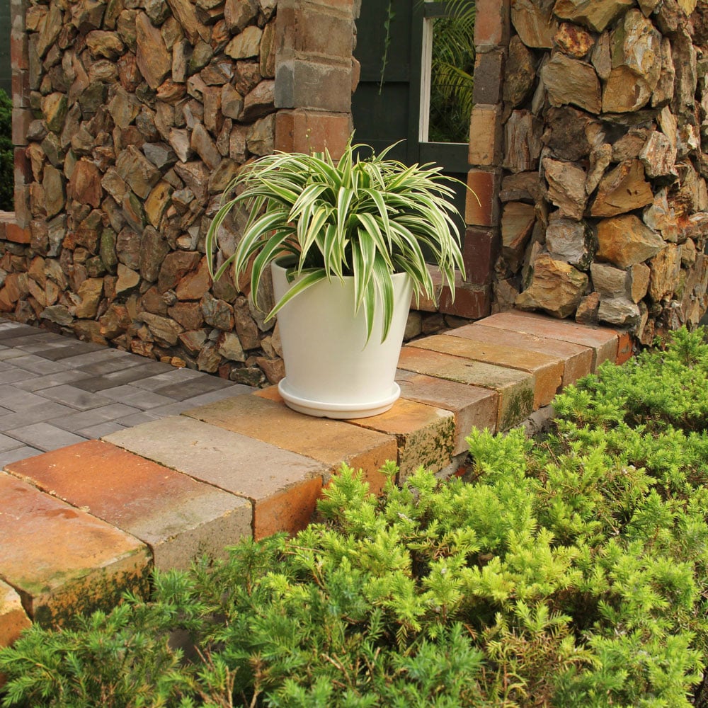 White Stoneware Indoor Planters with Drainage Hole and Matching Dishes (Set of 2)