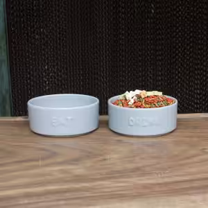 Set of 2 Stoneware Pet Bowls for Cats & Small Dogs – Gray Cute Text High-Gloss Easy-Clean Pet Dish