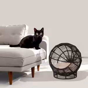 Modern Woven Rope Cat Bed with Removable Cushion – Stylish Indoor Pet Lounge